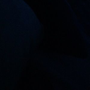 Meet your Posher, Sean